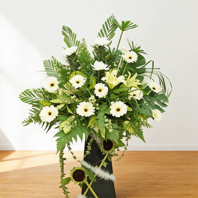 Follow The Sun Always