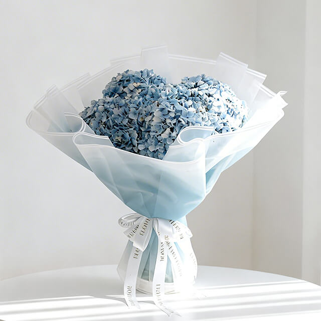 Hydrangea  Ocean Serenade