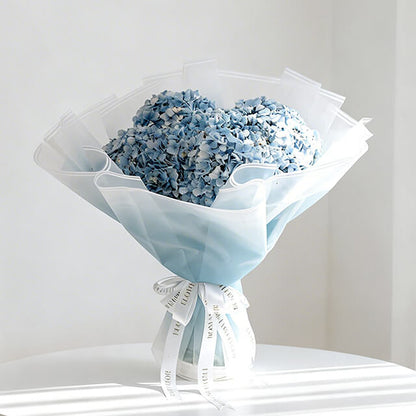 Hydrangea  Ocean Serenade