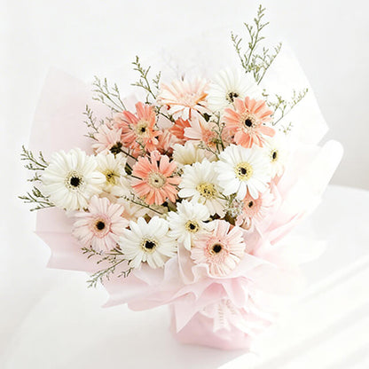 Celestial Gerbera