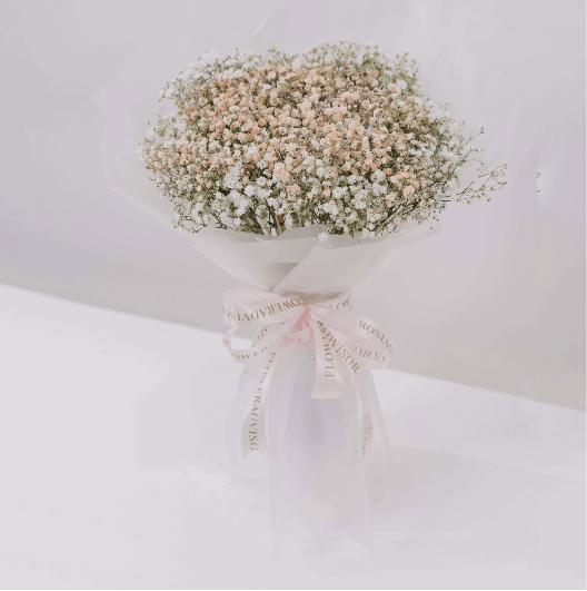 Whimsy Baby Breath
