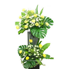 Shinings Remembrance