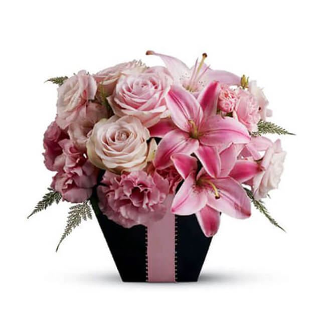 Cant Help Falling In Love