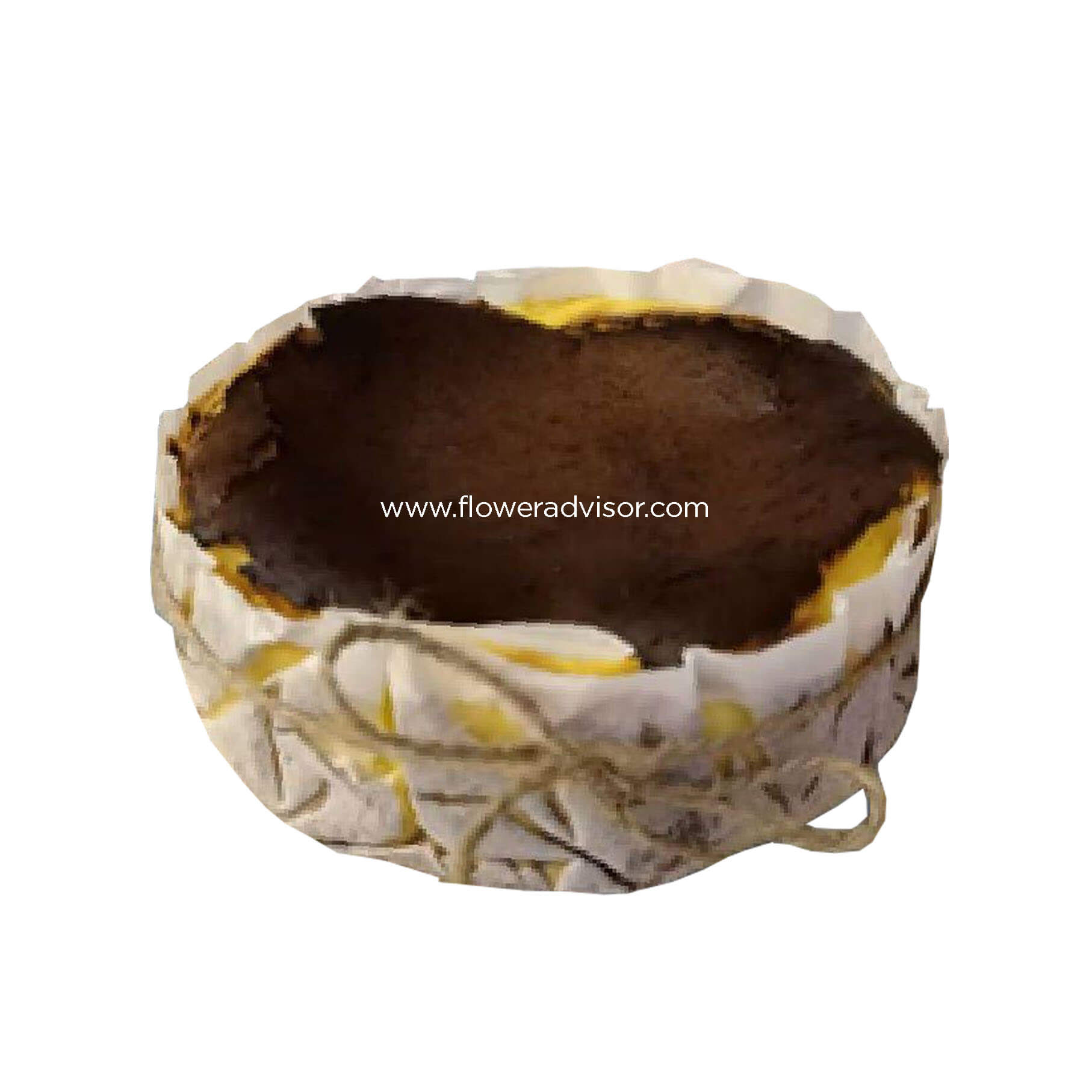 Burnt Cheesecake 6