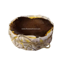 Burnt Cheesecake 6