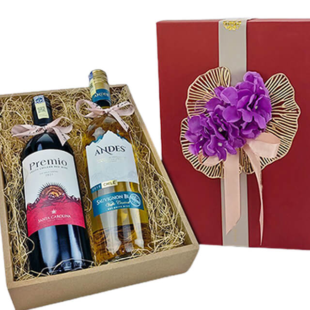 Exclusive Wine Duo Gift Set - Premio Fruity Chilean Red Wine