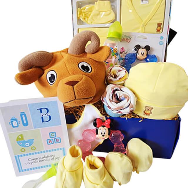 Beary - Newborn Baby Gift Hamper