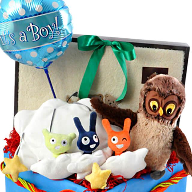 Growing Burberri - Baby Shower Gift Hamper