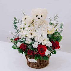 Teddy Serene Hues