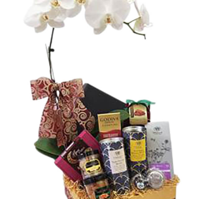 Sadik Raya Hamper with Live Phalaenopsis Orchid Whittard Tea - Ramadan 2026
