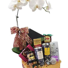 Sadik Raya Hamper with Live Phalaenopsis Orchid Whittard Tea - Ramadan 2026