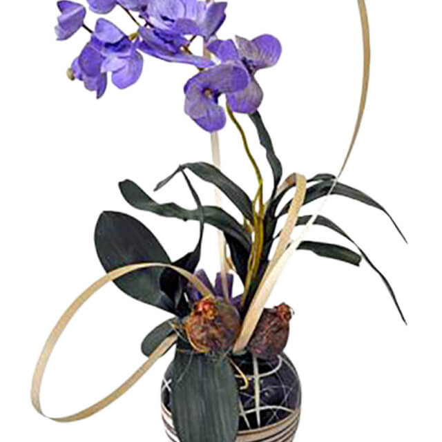Saqada Phalaenopsis Arti Orchid Potted Artificial Flower Gift - Ramadan 2026