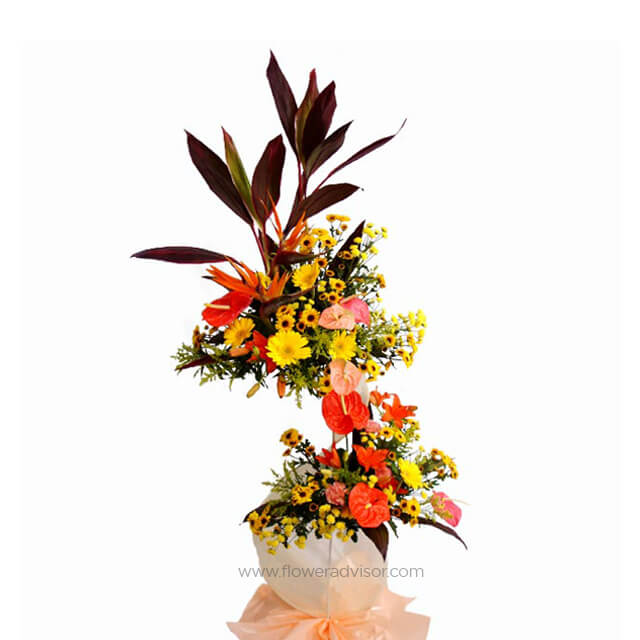 Heartiest Congratulations