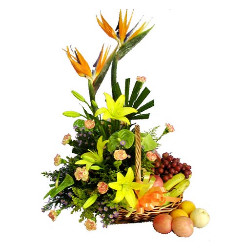 Fruits of the Forest