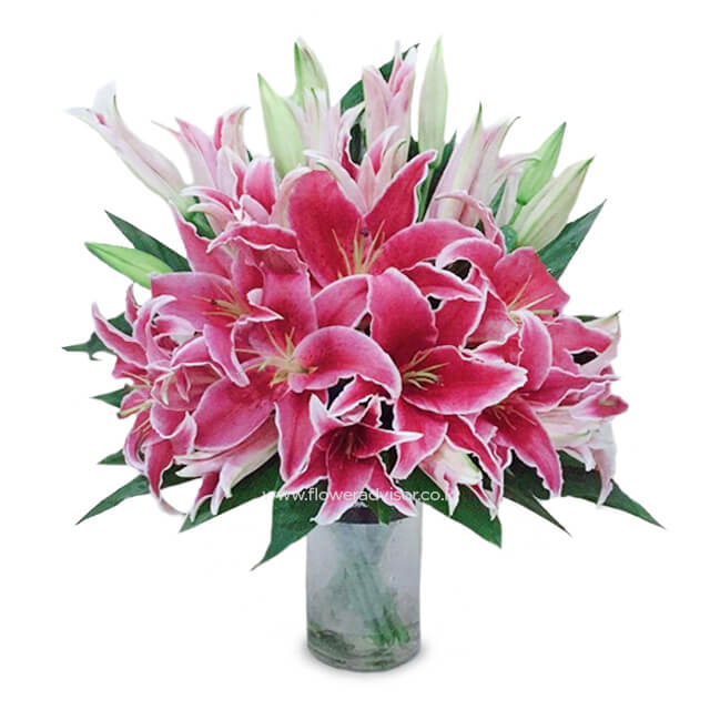 Pink Blush - 10 pink lilies vase arrangement