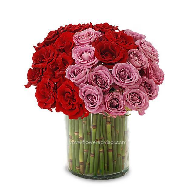 Red and pink rose bouquet in a clear glass vase with green stems, flower arrangement