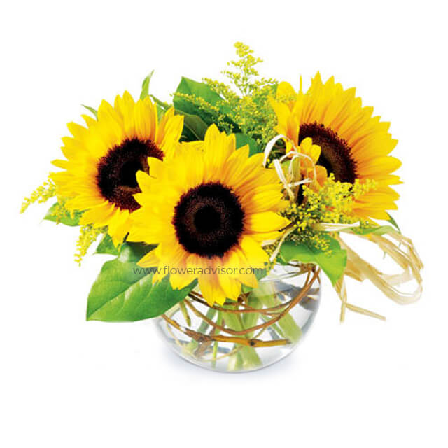 Three Sunny Days sunflower arrangement displayed in a vase