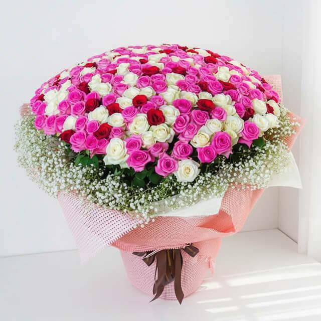 Large bouquet of 500 pink, white, and red roses with baby's breath and pink wrapping