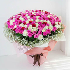 Large bouquet of 500 pink, white, and red roses with baby's breath and pink wrapping