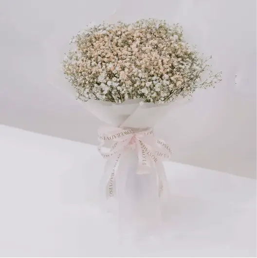 White baby's breath hand bouquet in soft pastel wrapping