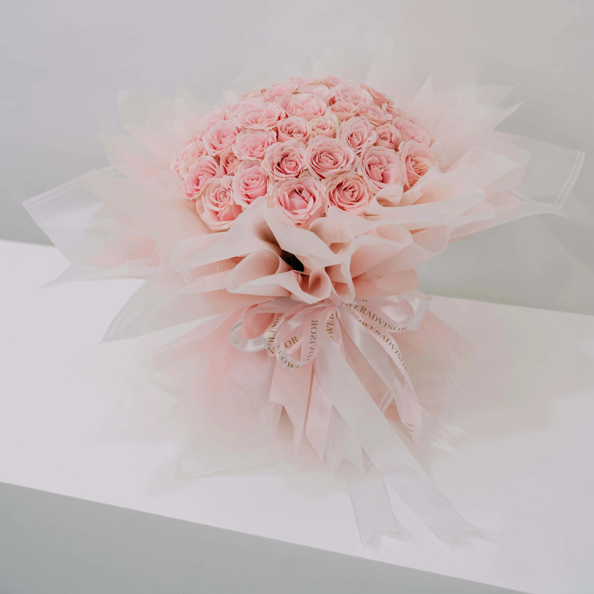 Dream in Blush Rose