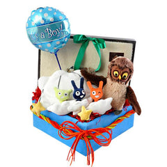 Growing Burberri - Baby Shower Gift Hamper
